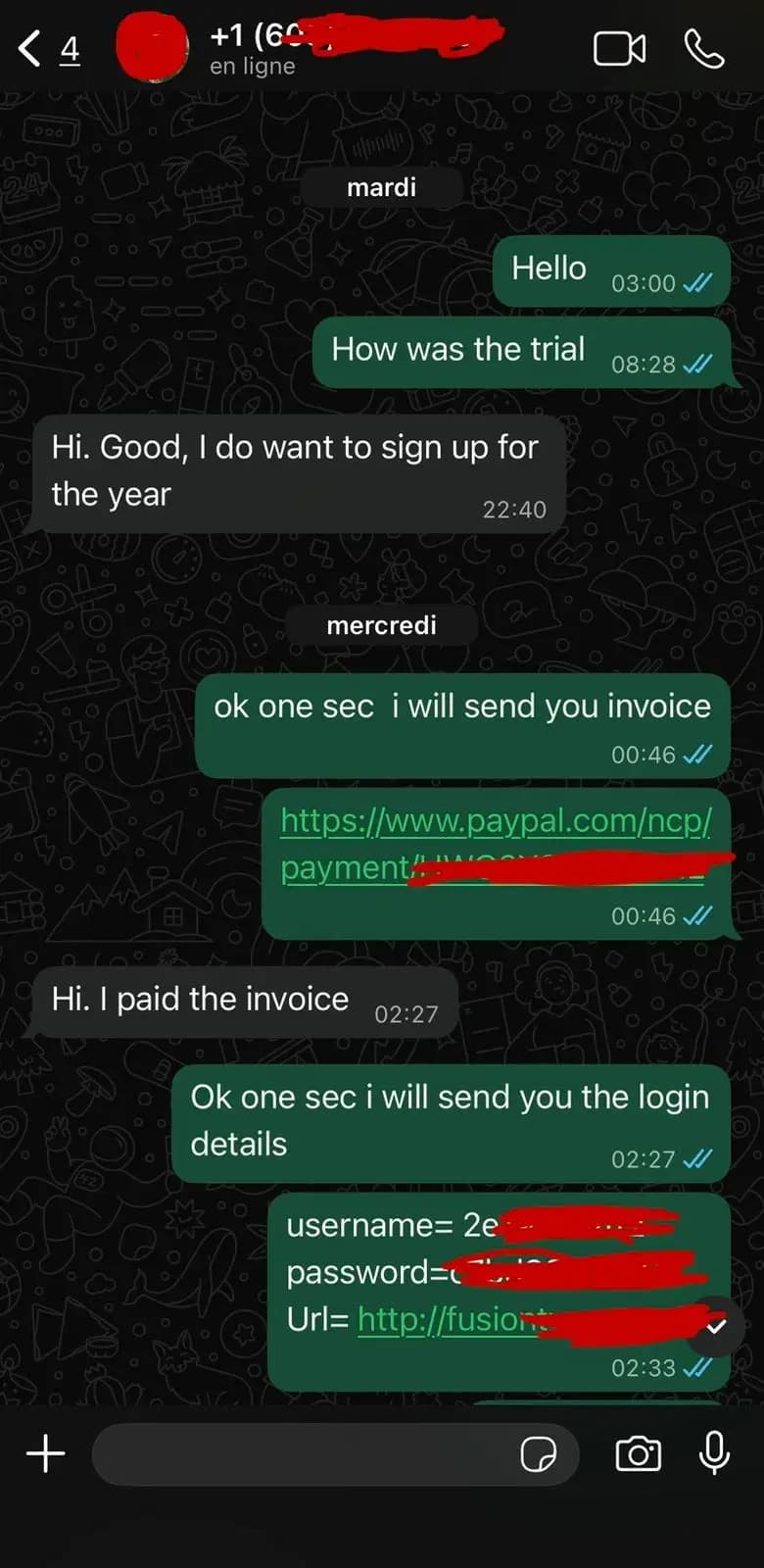 Watchzio customer review screenshot 11 — verified WhatsApp feedback