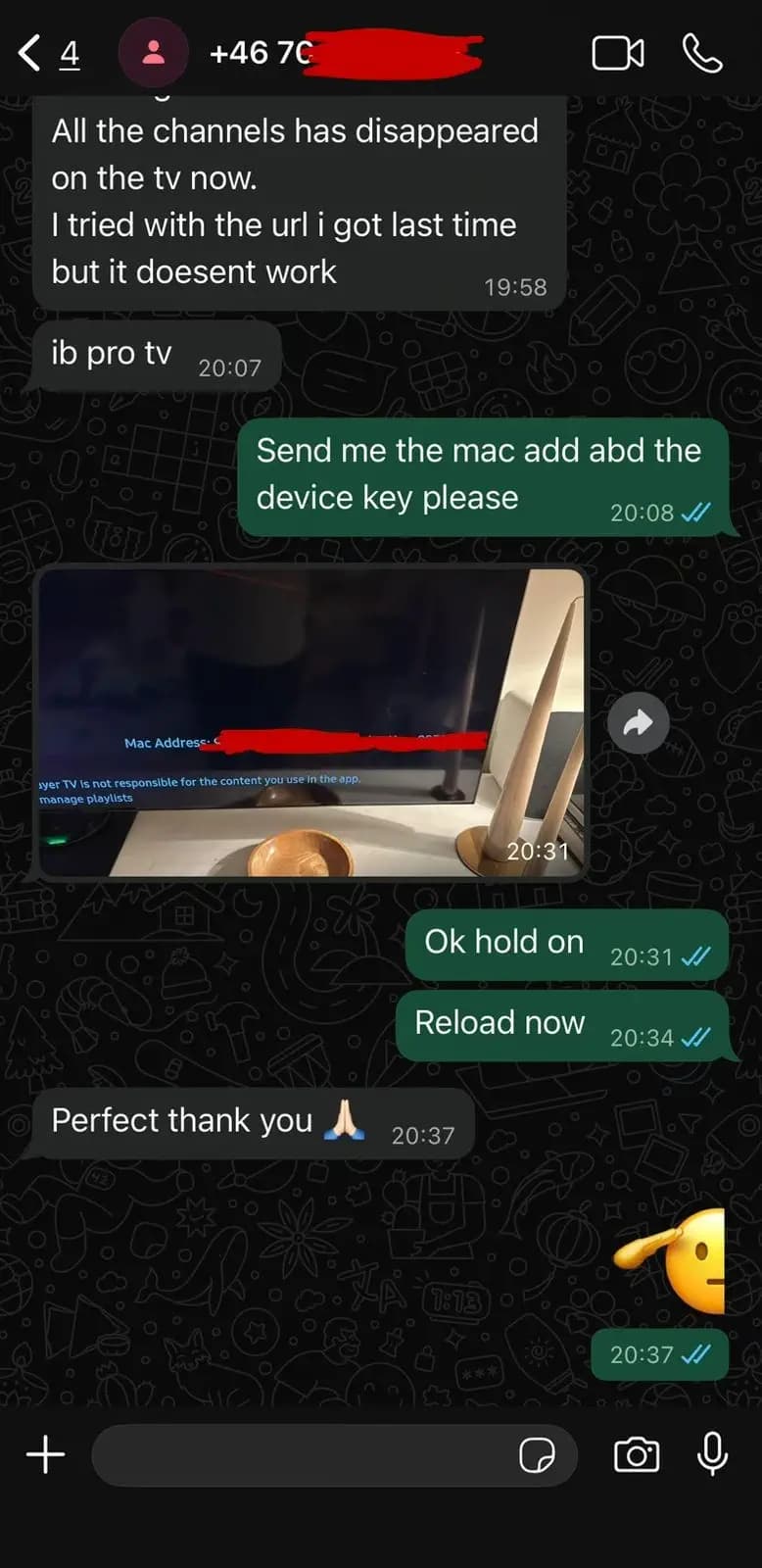 Watchzio customer review screenshot 4 — verified WhatsApp feedback